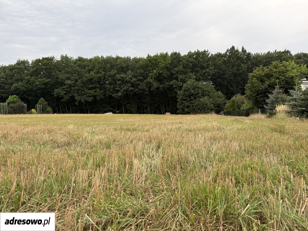 Działka budowlana Rybnik Niedobczyce, ul. Gruntowa. Zdjęcie 8