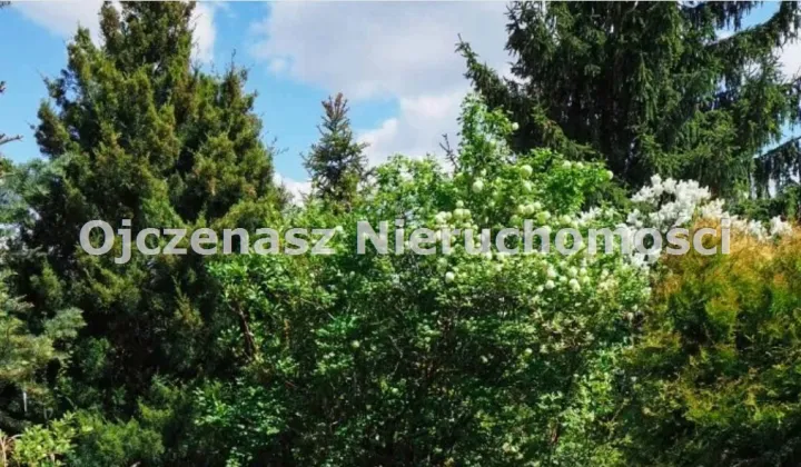Działka rekreacyjna Koronowo Pieczyska