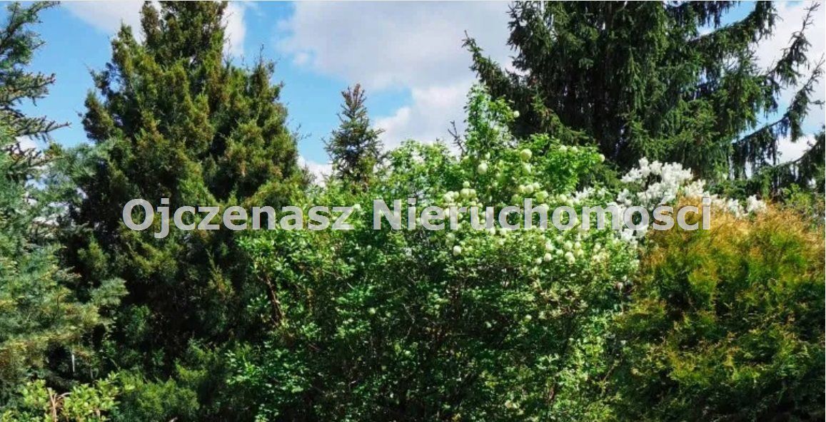 Działka rekreacyjna Koronowo Pieczyska. Zdjęcie 1