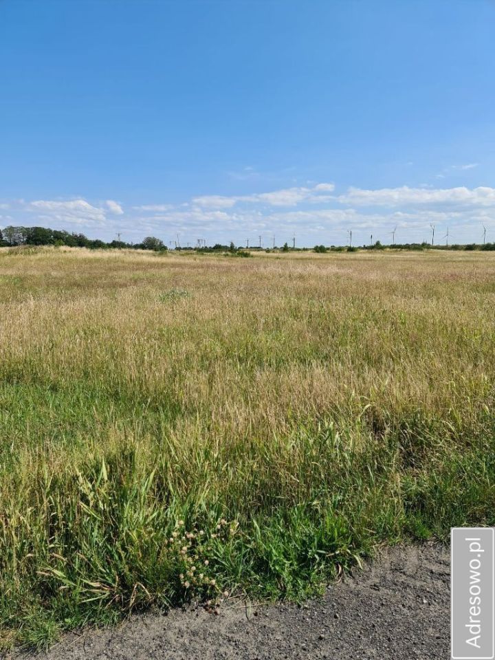 Działka rolna Stojkowo. Zdjęcie 3