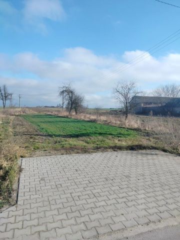 Działka rolno-budowlana Mirów Nowy. Zdjęcie 1