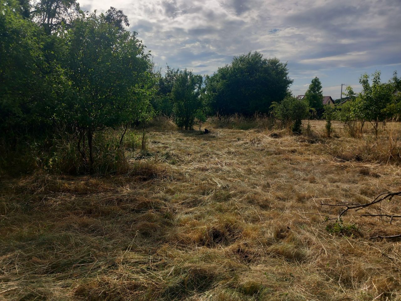 Działka budowlana Przytok, ul. Słoneczna. Zdjęcie 8