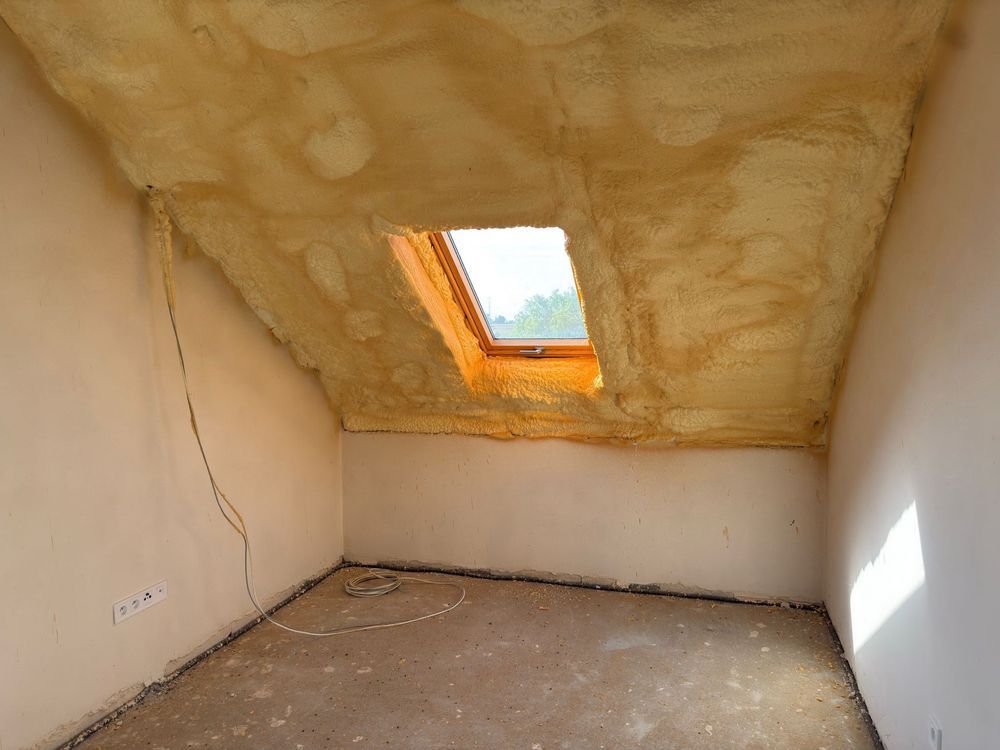 bliźniak Racław. Zdjęcie 8