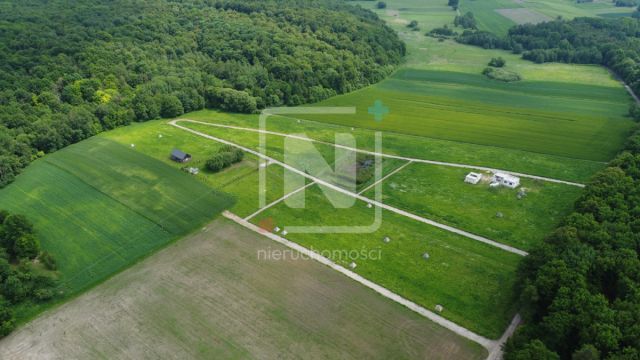 Działka budowlana Lipsko-Polesie. Zdjęcie 2