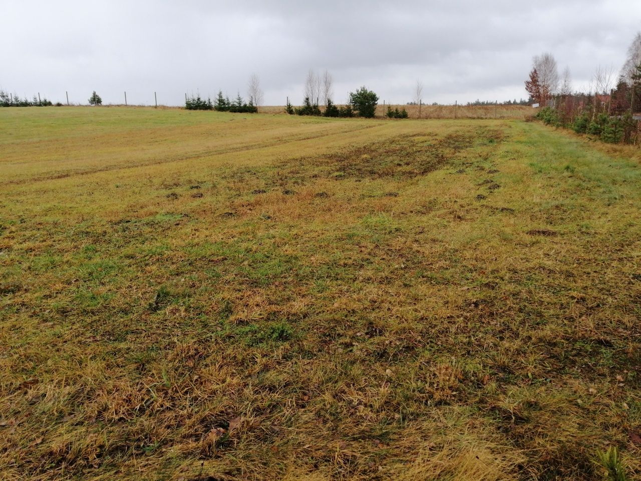 Działka budowlana Zdroje. Zdjęcie 1
