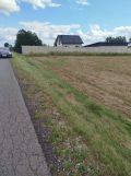 Działka rolno-budowlana Babczów. Zdjęcie 1