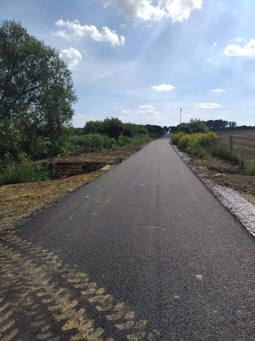 Działka rolno-budowlana Cerekwica. Zdjęcie 2