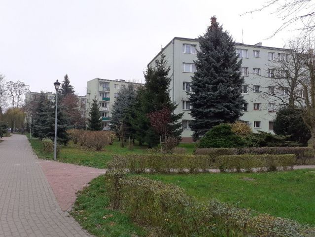 Mieszkanie 3-pokojowe Zielonka, ul. Wolności. Zdjęcie 1