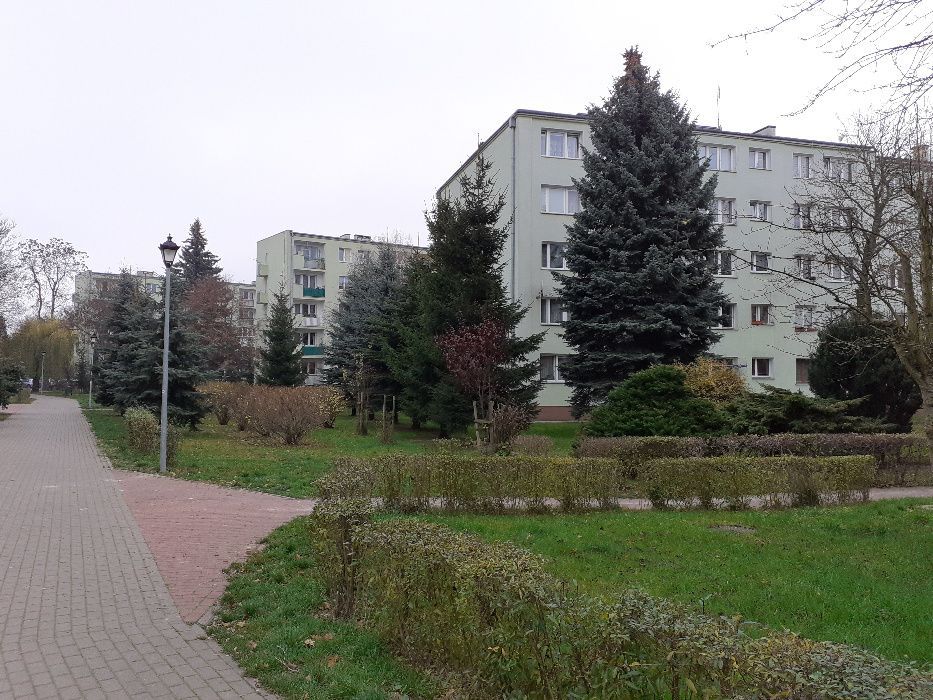 Mieszkanie 3-pokojowe Zielonka, ul. Wolności
