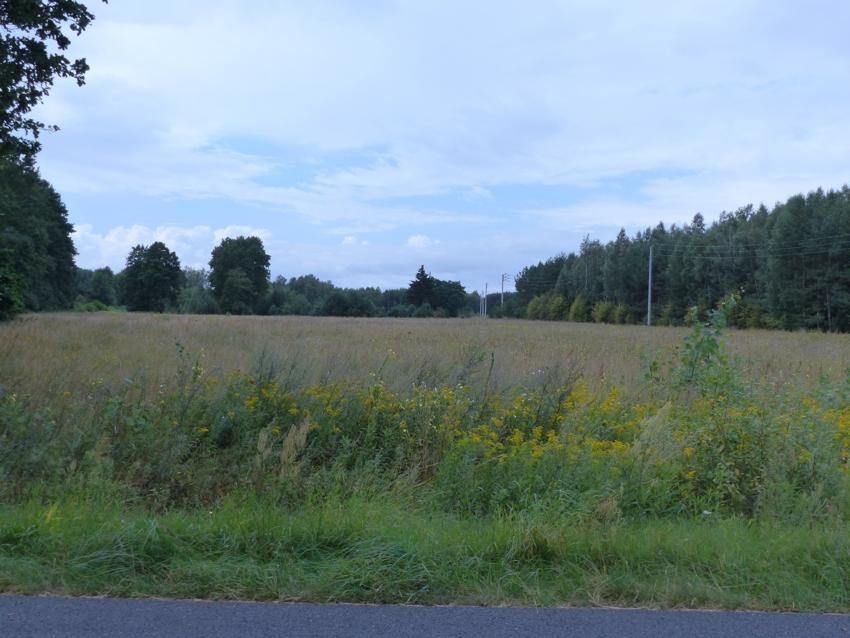 Działka rolno-budowlana Małomin. Zdjęcie 3