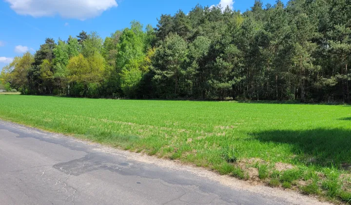 Działka rolno-budowlana Dzierżązna, ul. Graniczna