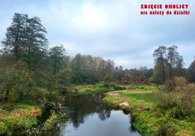 Działka leśna Kępa. Zdjęcie 14