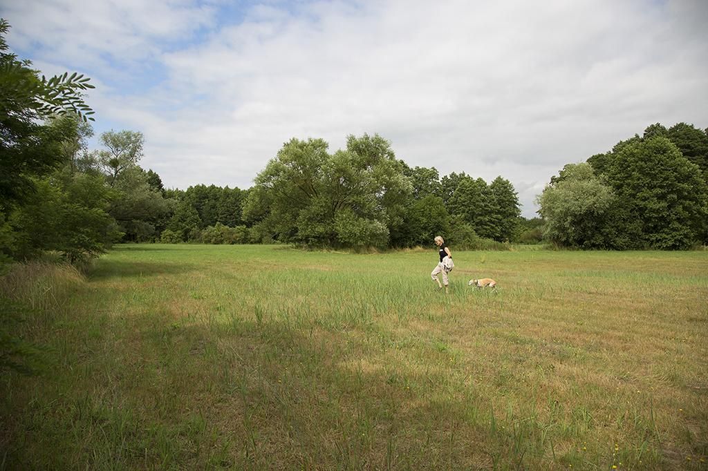 Działka siedliskowa Wola Ładowska. Zdjęcie 7