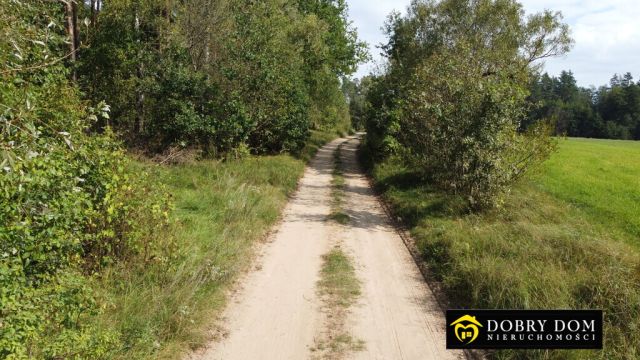 Działka budowlana Guty Rożyńskie. Zdjęcie 10