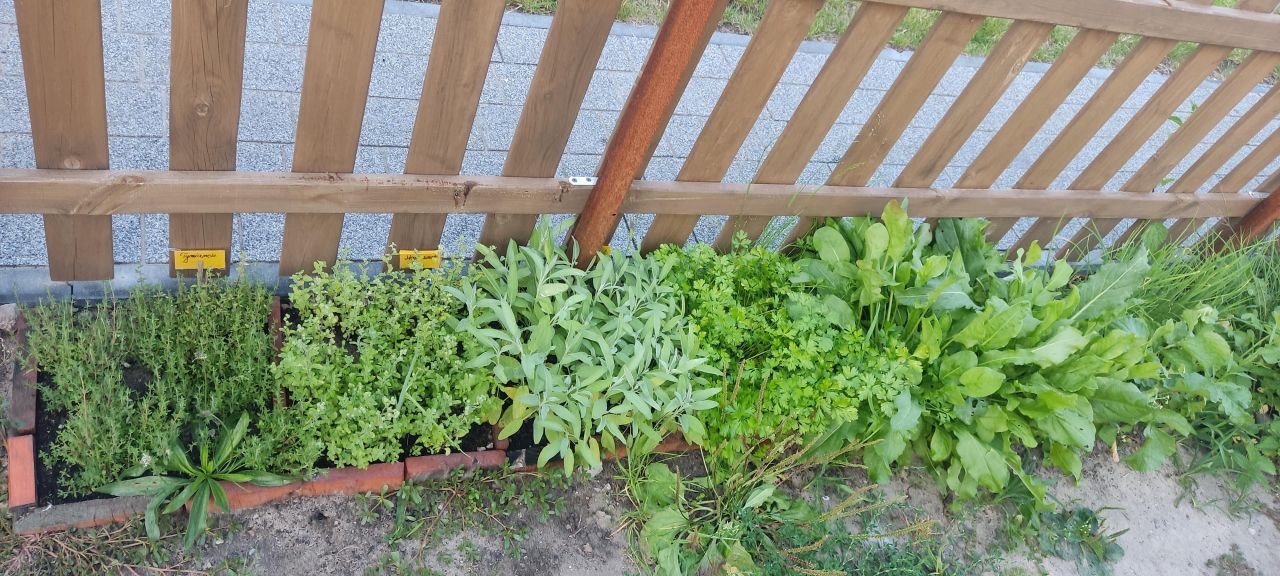 Działka rod Kielce Biesaki, ul. Biesak. Zdjęcie 3