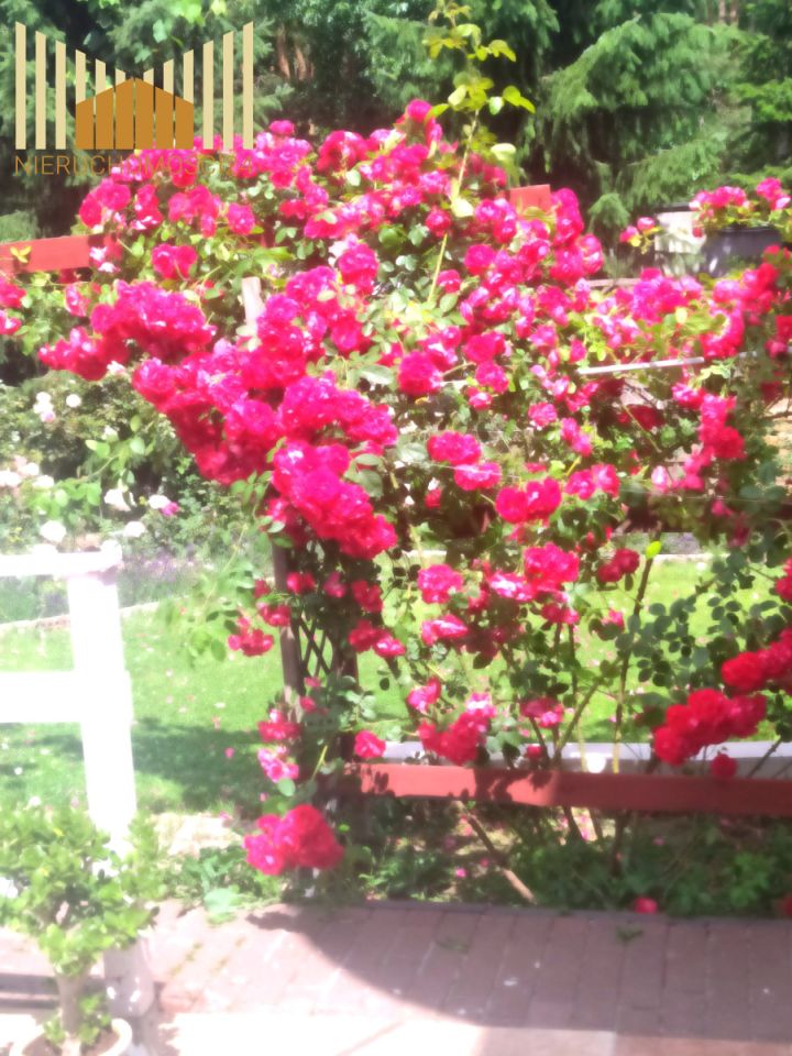 dom wolnostojący, 6 pokoi Warszawa Wawer. Zdjęcie 29