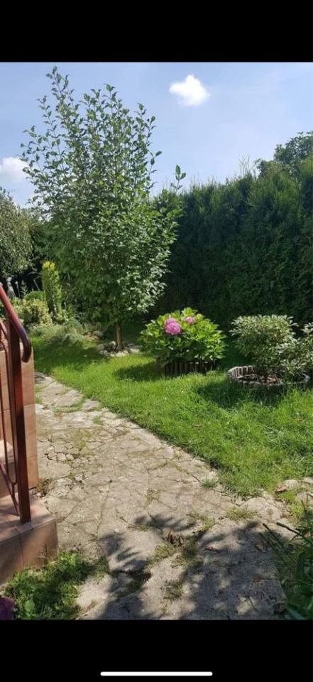 Działka rod Tychy. Zdjęcie 6