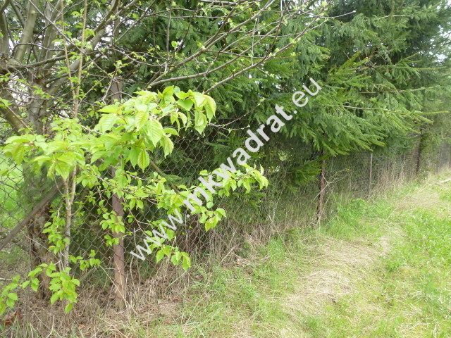 Działka inwestycyjna Żółwin. Zdjęcie 2