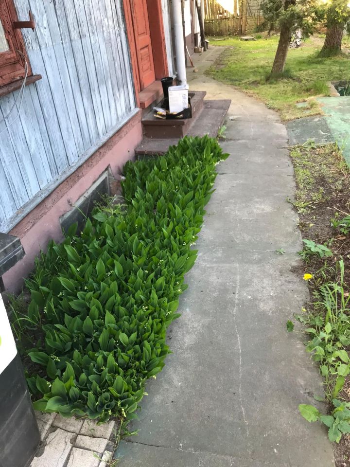 dom wolnostojący, 2 pokoje Mogielnica, ul. ks. Zagańczyka. Zdjęcie 9