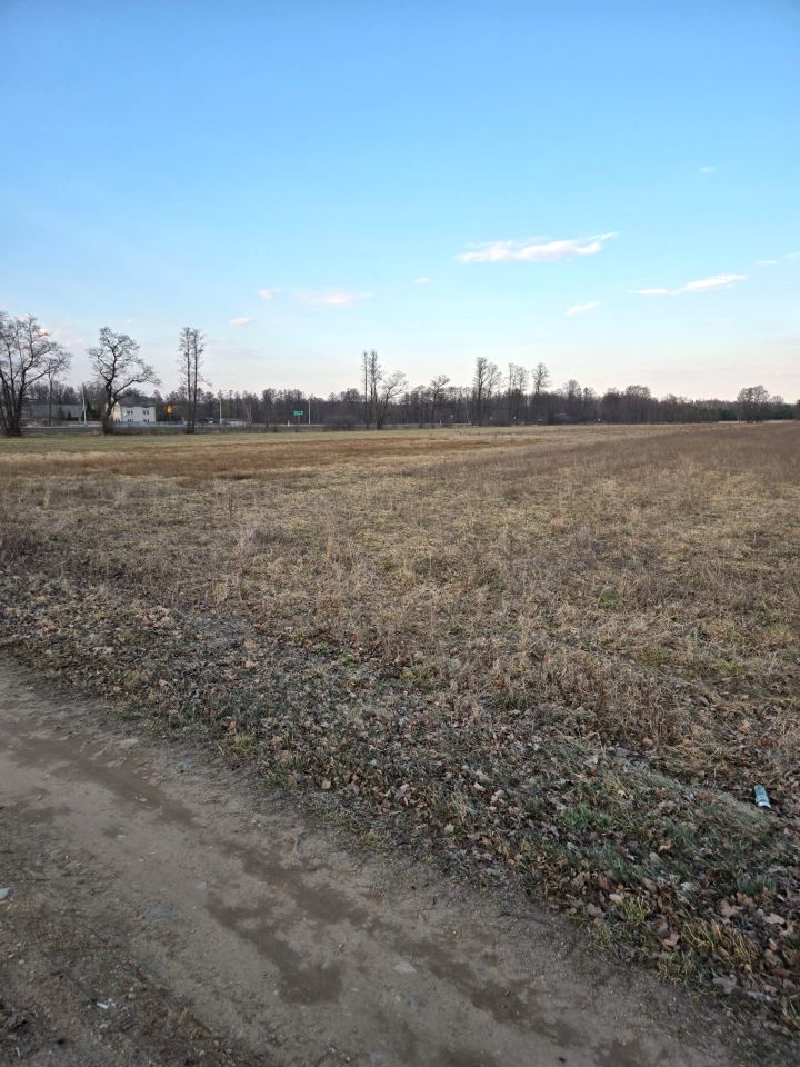 Działka inwestycyjna Strachówka, DK50. Zdjęcie 1