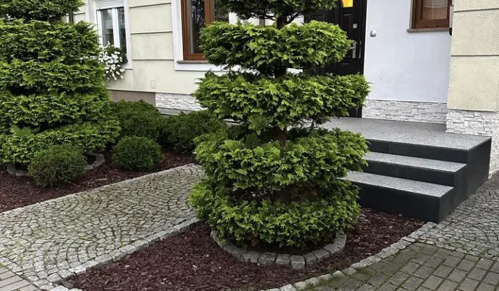 bliźniak Włynkówko
