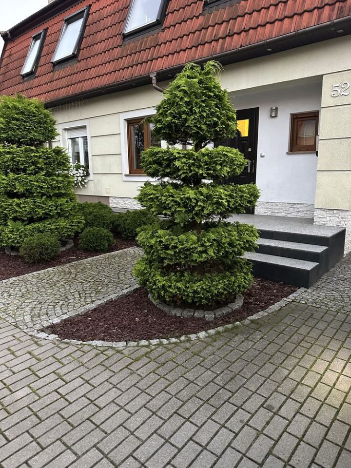 bliźniak Włynkówko. Zdjęcie 1