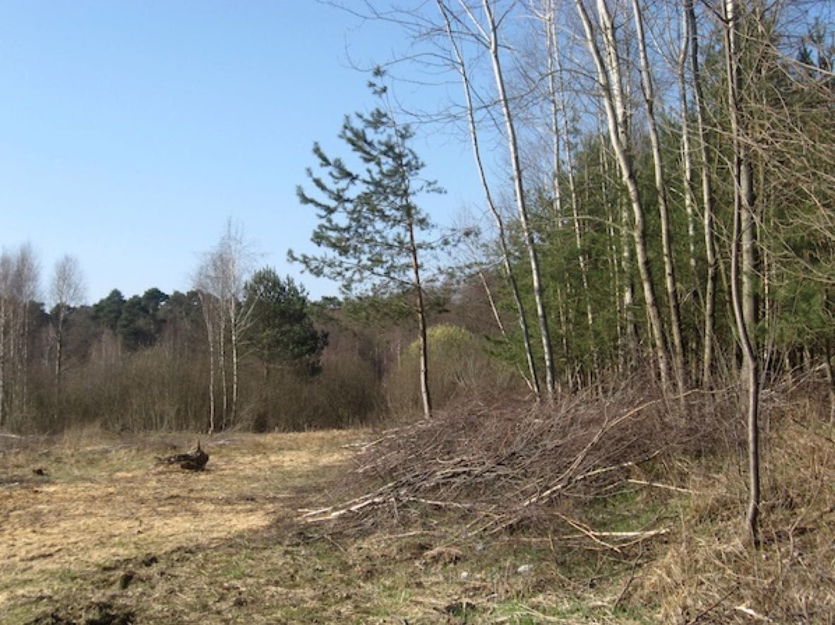 Działka rolno-budowlana Promienko. Zdjęcie 2