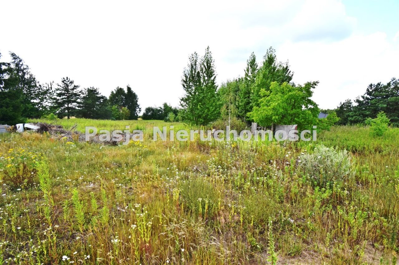 Działka budowlana Maszewo Duże