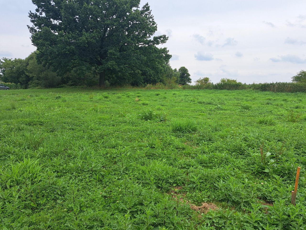 Działka budowlana Bestwinka, ul. św. Floriana. Zdjęcie 3