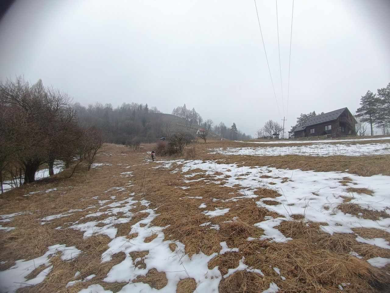 Działka rolna Szczawnica Kunie, ul. Bereśnik. Zdjęcie 3