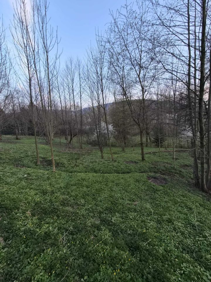 dom wolnostojący Czaniec. Zdjęcie 5