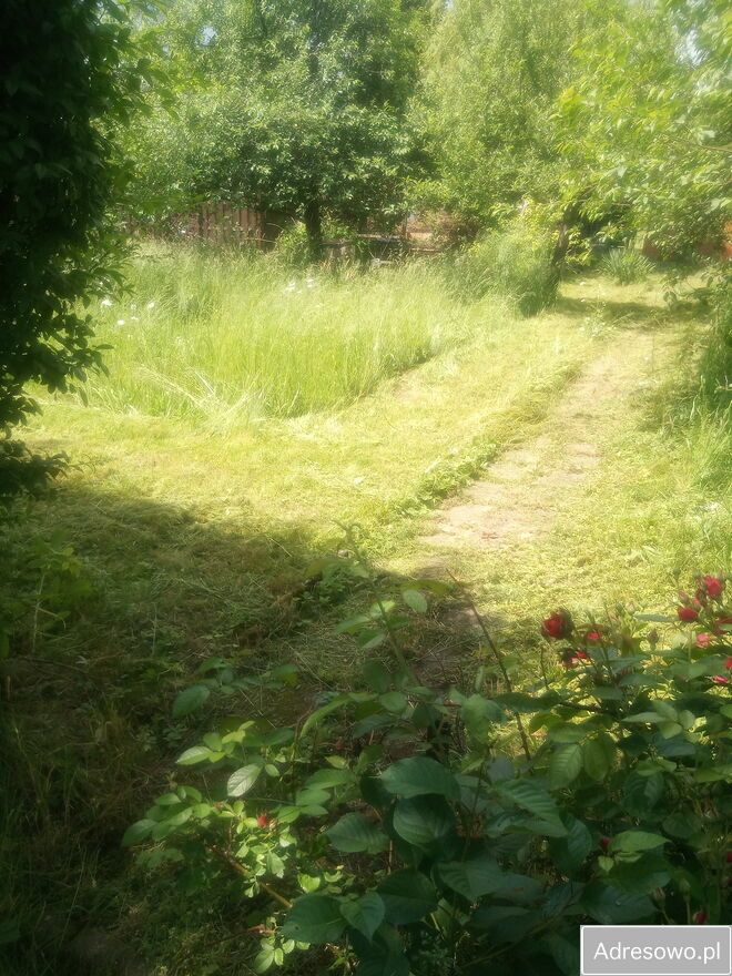 Działka rod Prudnik. Zdjęcie 2