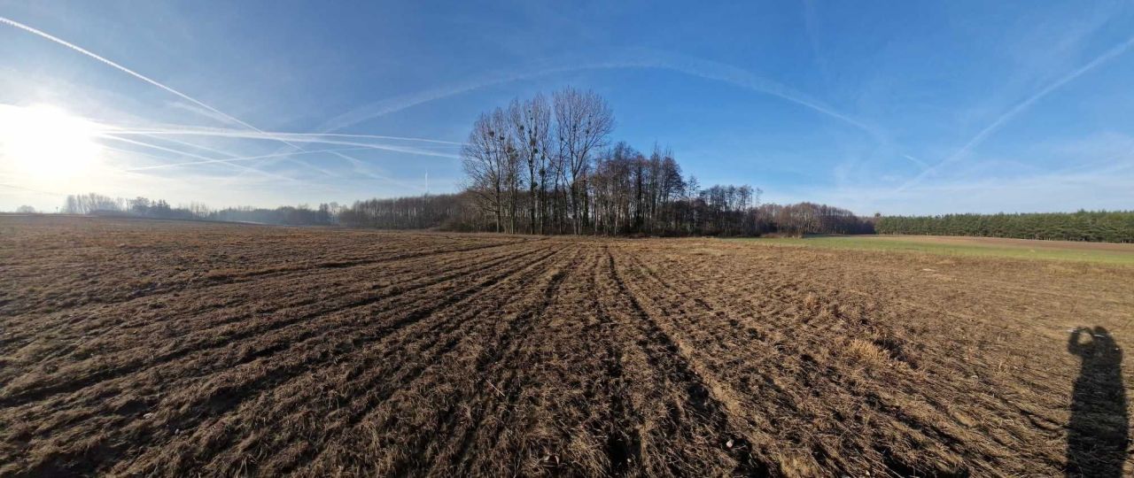 Działka budowlana Korwin. Zdjęcie 5