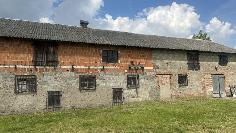 Działka rolna Karniszewo. Zdjęcie 6