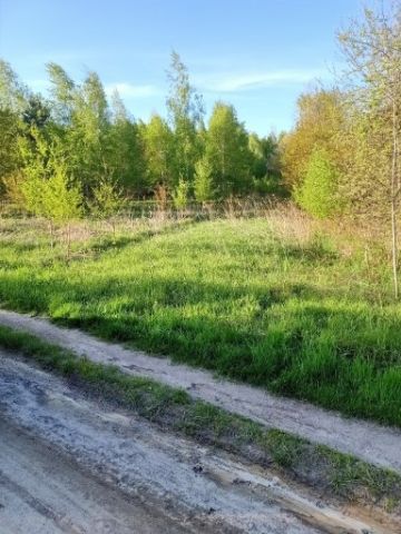 Działka rolna Biadoliny Radłowskie. Zdjęcie 1