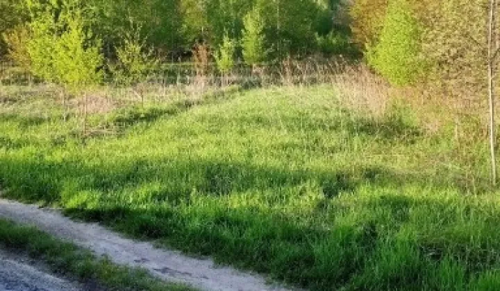 Działka rolna Biadoliny Radłowskie