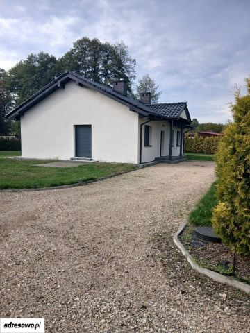 Działka rekreacyjna Piłka kolonia, ul. Słoneczna. Zdjęcie 1