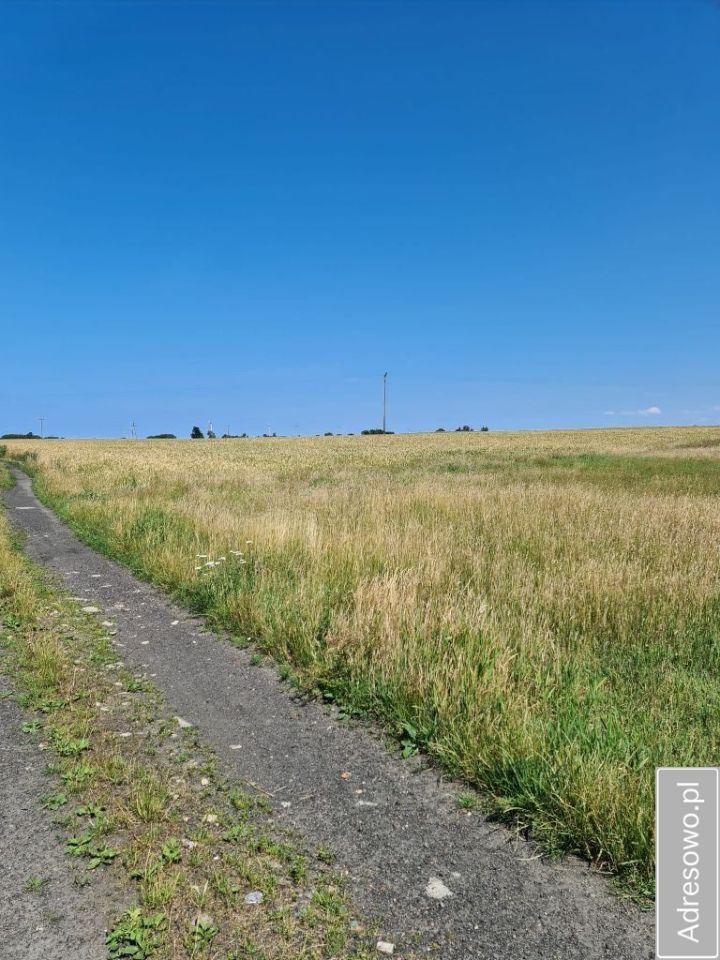 Działka rolna Stojkowo. Zdjęcie 4