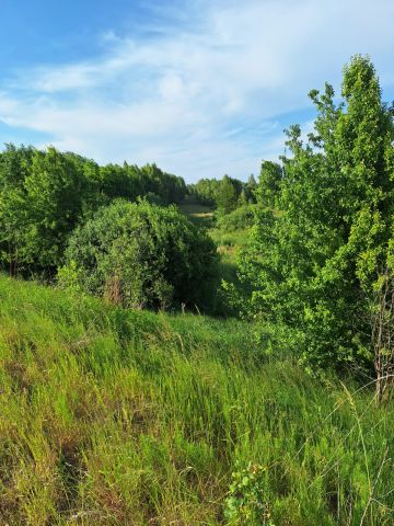 Działka rolna Zawadów. Zdjęcie 1