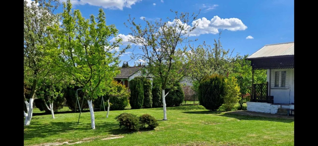 Działka rod Lubin. Zdjęcie 5