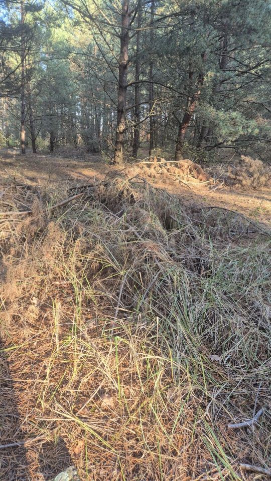 Działka rolno-budowlana Dubielno. Zdjęcie 8