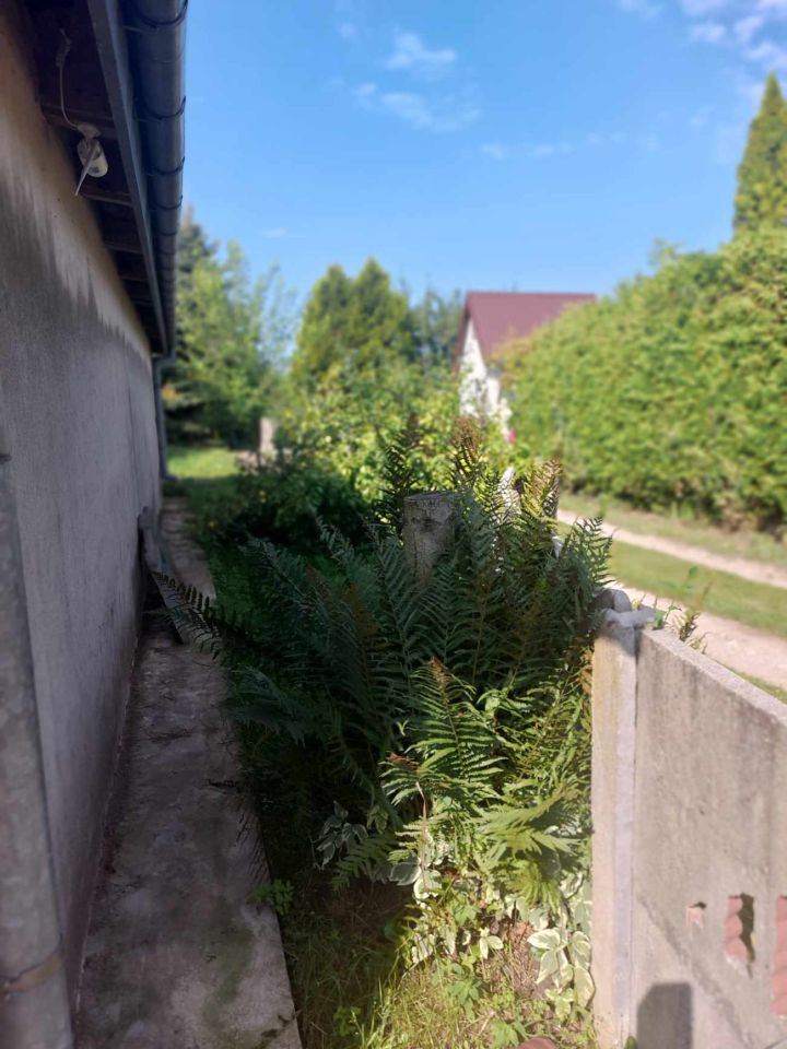 Działka rod Grójec, ul. Graniczna. Zdjęcie 7