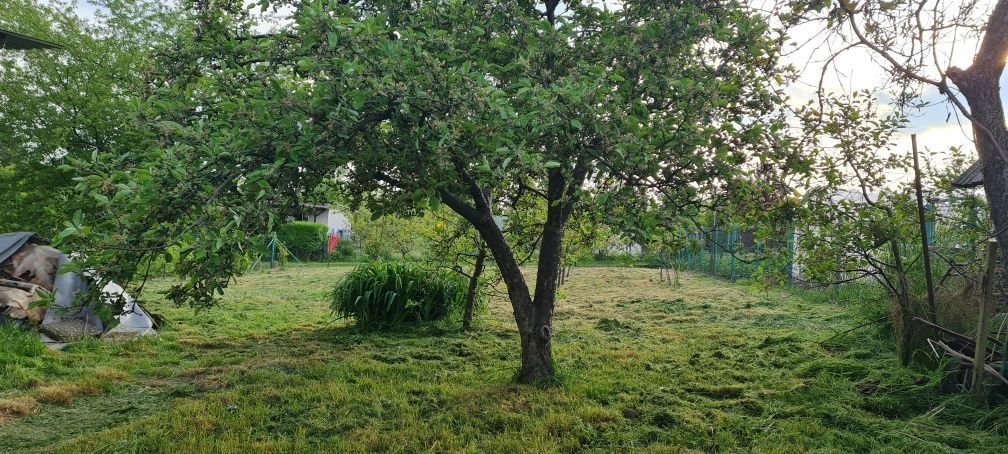 Działka rod Pszów. Zdjęcie 8