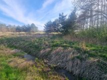 Działka rolna Nowy Łajszczew. Zdjęcie 3