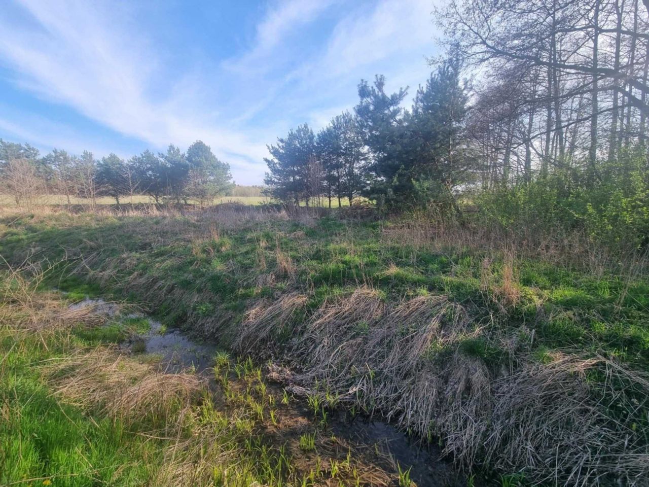 Działka rolna Nowy Łajszczew. Zdjęcie 4