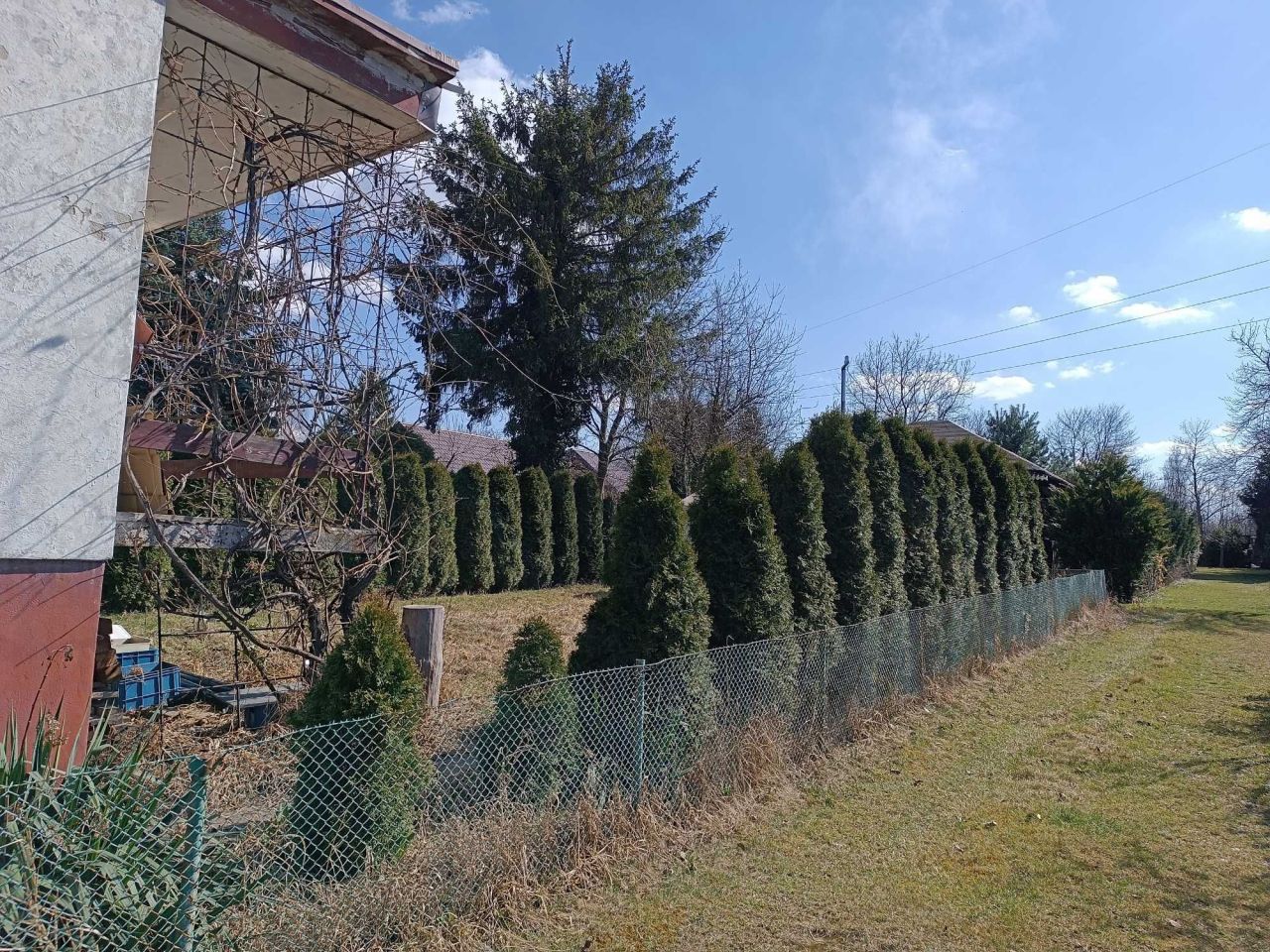 Działka rod Częstochowa Mirów, ul. Mirowska. Zdjęcie 4