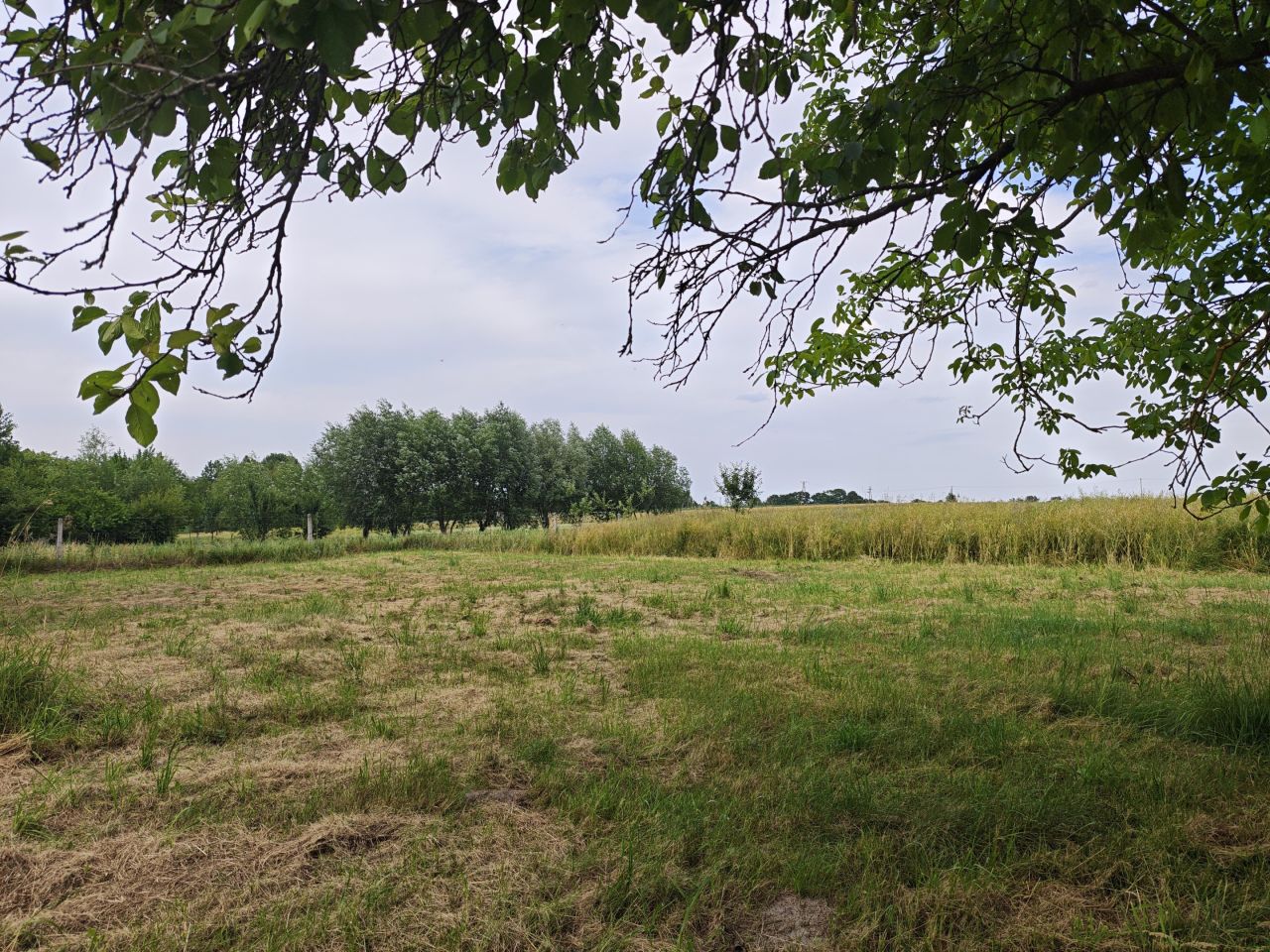 Działka rolno-budowlana Stawki Szkorutyniec. Zdjęcie 17