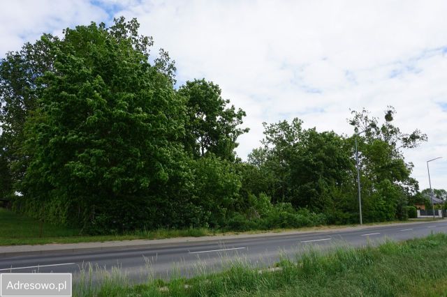 Działka budowlana Góra. Zdjęcie 1