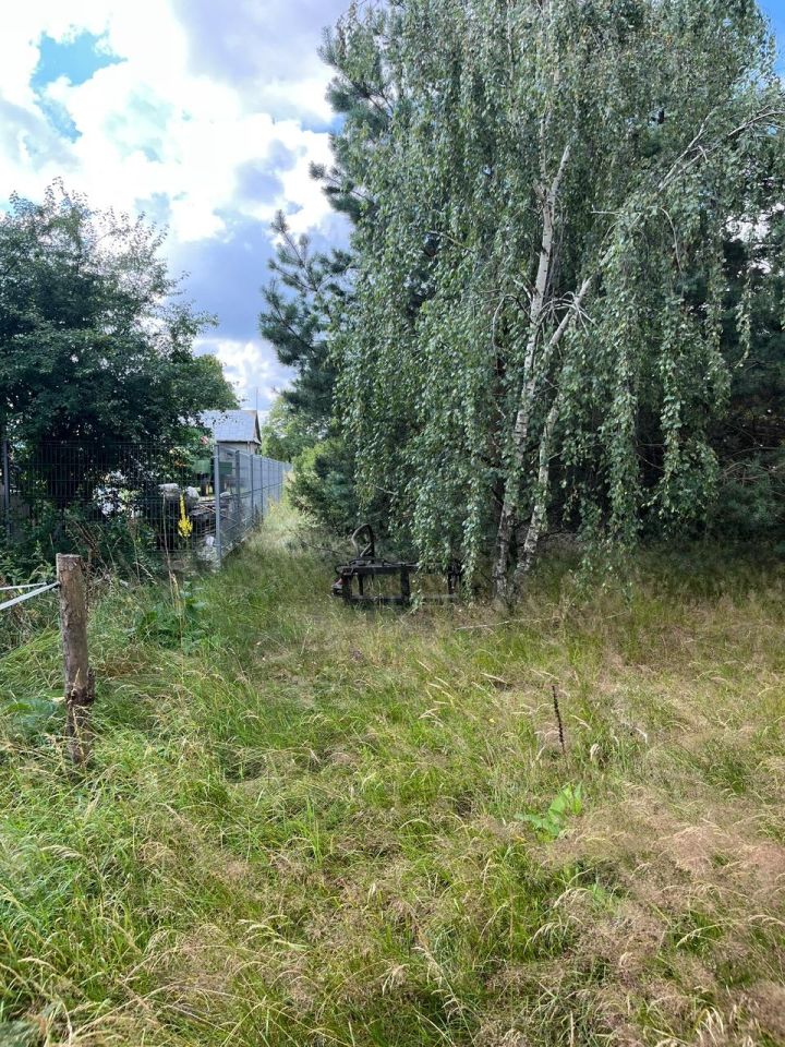 Działka rolno-budowlana Surmacze. Zdjęcie 10