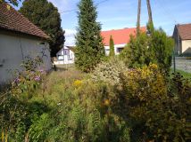 dom wolnostojący, 3 pokoje Drzeńsk Mały. Zdjęcie 2